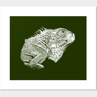 Iguana Posters and Art